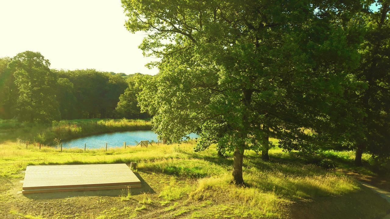 L'Etape En Foret Saint-Sever-Calvados Exteriör bild
