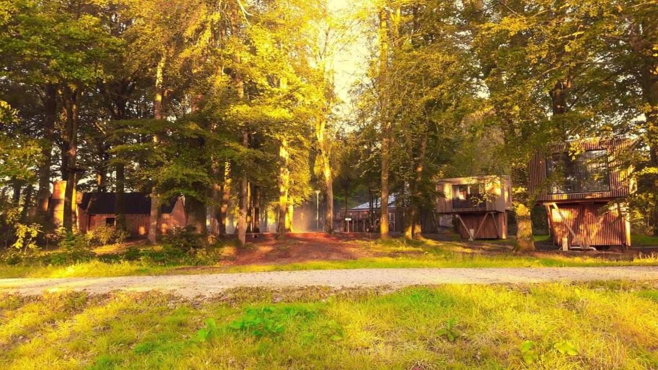 L'Etape En Foret Saint-Sever-Calvados Exteriör bild